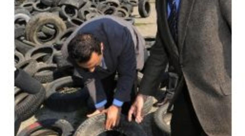 Sinek &Uuml;reme Yatakları Kurutuluyor