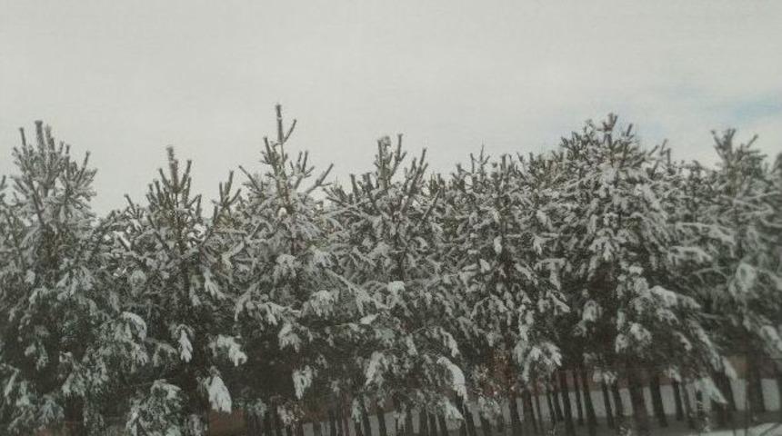 &Ouml;zalp İl&ccedil;esinde Kar Yağışı