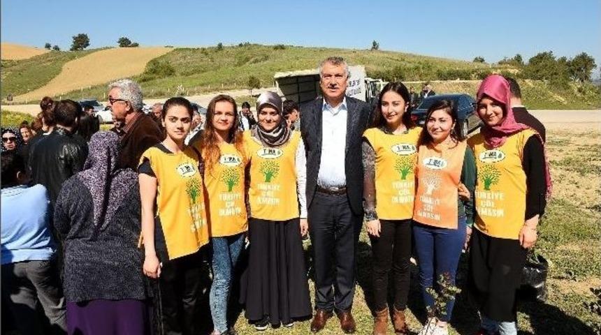 Başkan Karalar, 100 Şehit Anısına 100 Fidan Dikti