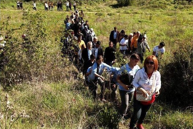 Başkan Karalar, 100 Şehit Anısına 100 Fidan Dikti