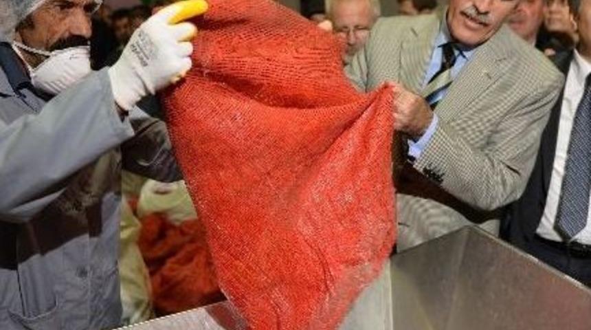 Besaş&rsquo;tan Tarladan Sofraya Kırmızı Biber