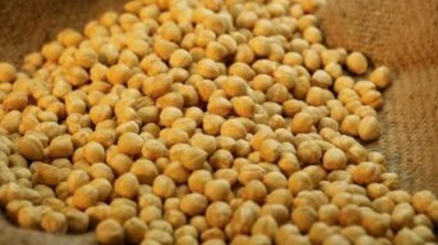 Fındık İhracatı 1.6 Milyar Doları Ge&ccedil;ti