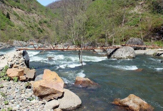 Ordu’da Irmakta Kaybolan Kadının Cesedi Bulundu