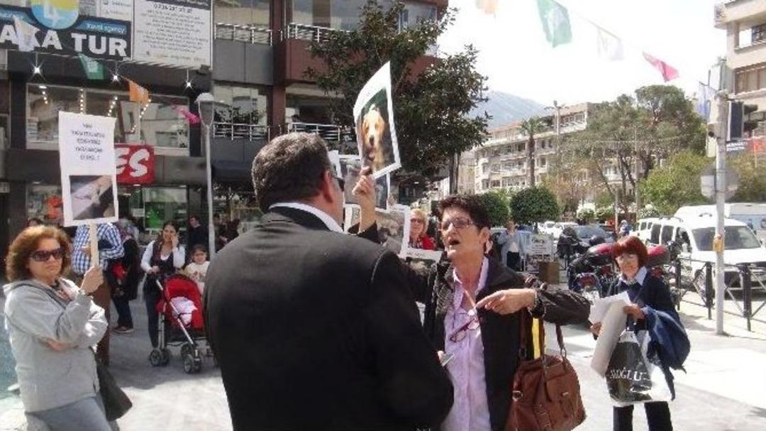 Hayvan Hakları Savunucusundan İlgin&ccedil; Tepki