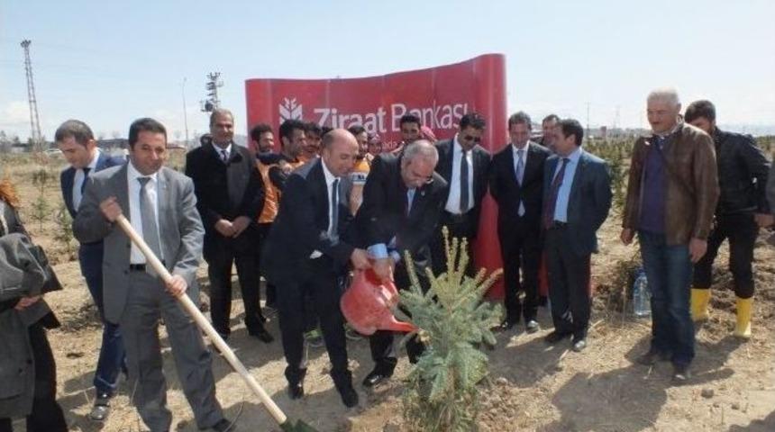 Yy&uuml;&rsquo;de Yılın İlk Fidanları Diktirildi