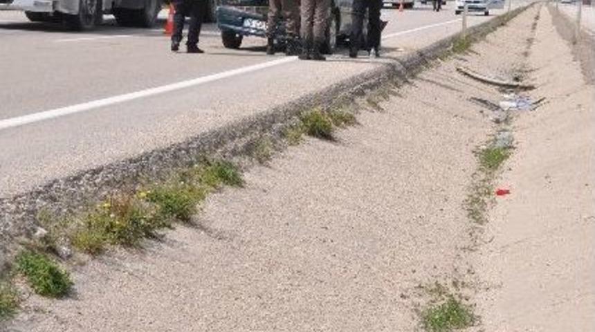 K&ouml;peğe &Ccedil;arpan Ara&ccedil;ta Can Pazarı