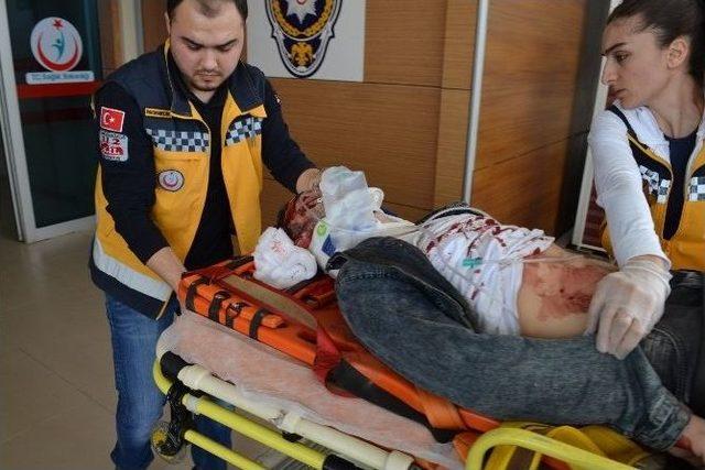 K&ouml;peğe &Ccedil;arpan Ara&ccedil;ta Can Pazarı 1