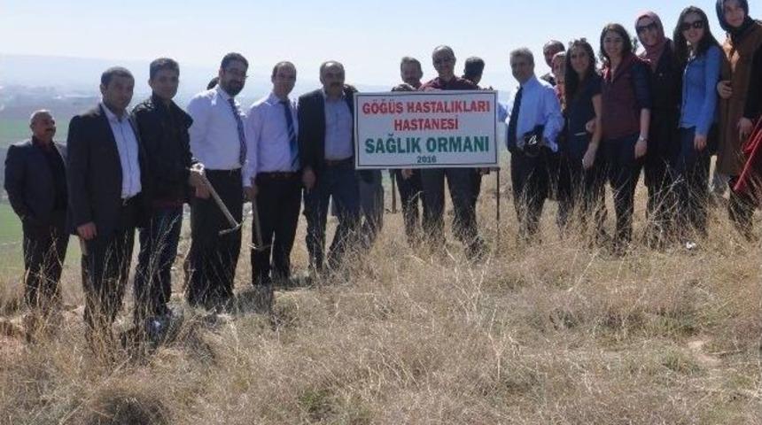 Sağlık &Ccedil;alışanlarından &Ouml;rnek Davranış