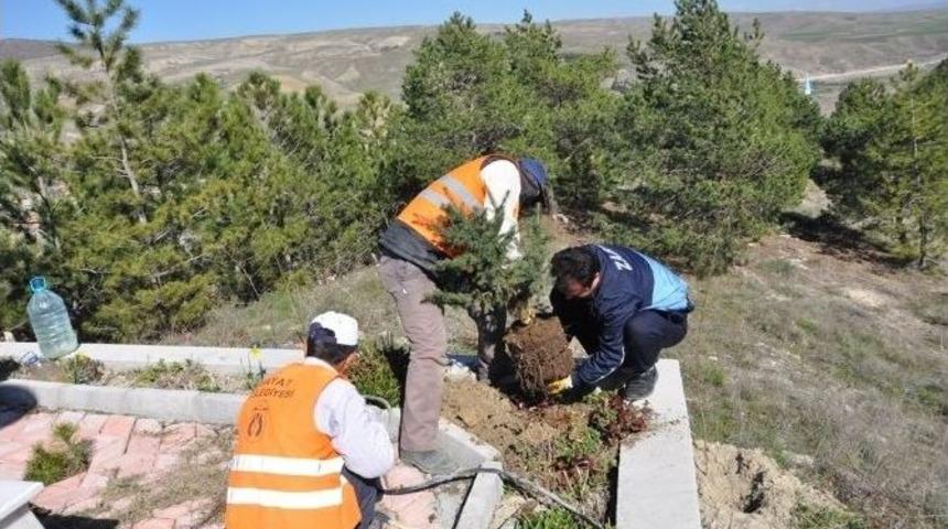 Bayat Belediyesi&rsquo;nden Bahar Temizliği