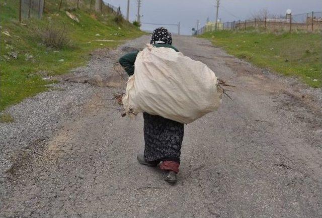 Günde 5 Kilometre Yürüyerek, Evinin İhtiyaçlarını Karşılıyor