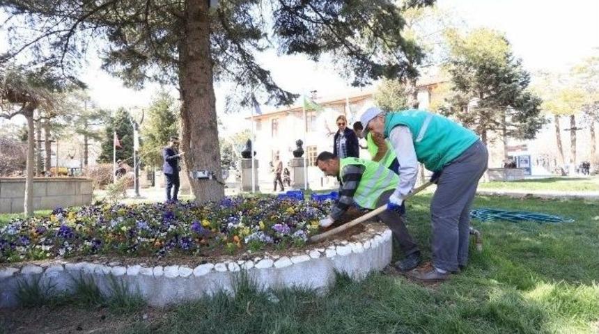 Erzincan&rsquo;da 250 Bin Adet &Ccedil;i&ccedil;ek Toprakla Buluşacak