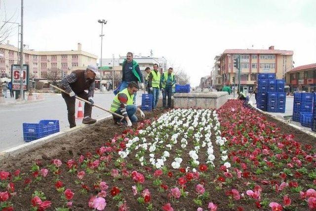 Erzincan’da 250 Bin Adet Çiçek Toprakla Buluşacak