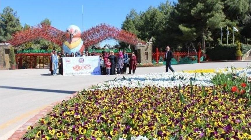 Samsatlı Bayanlar Gaziantep&rsquo;i, Gezdiler