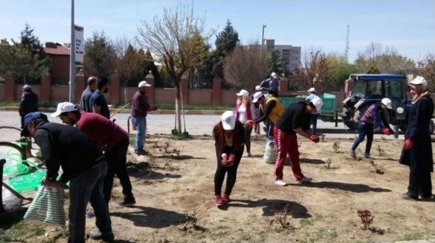Iğdır &Uuml;niversitesi&rsquo;nde &Ccedil;im Ekimi Ve G&uuml;l Dikimi