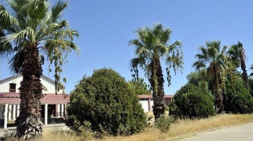 Ataş Yerleşkesini Mersin&rsquo;e Kazandırma &Ccedil;alışmaları S&uuml;r&uuml;yor