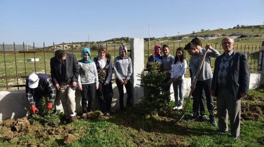 Yunusemre’de Ağaçlandırma Çalışmaları Sürüyor