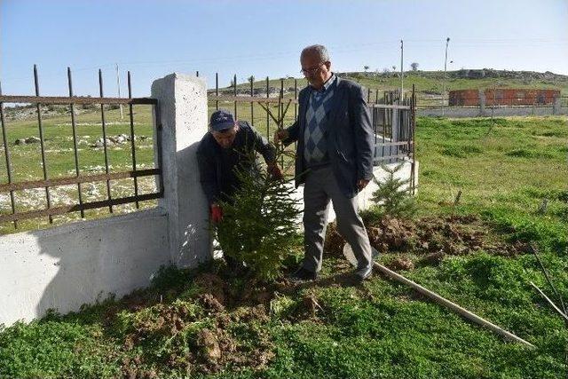 Yunusemre’de Ağaçlandırma Çalışmaları Sürüyor