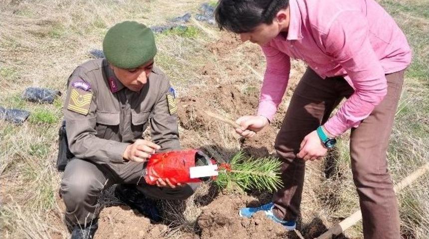 Sorgun&rsquo;da Her Şehidin Adını Taşıyan 500 Fidan Toprakla Buluştu