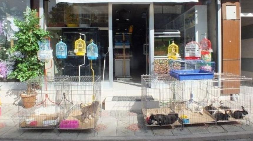 Van&rsquo;da Petshoplara İlgi Artıyor