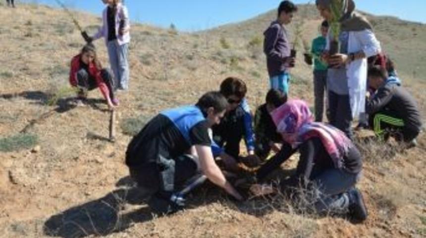 Polis, Orman Haftasını &Ccedil;ocuklarla Fidan Dikerek Kutladı