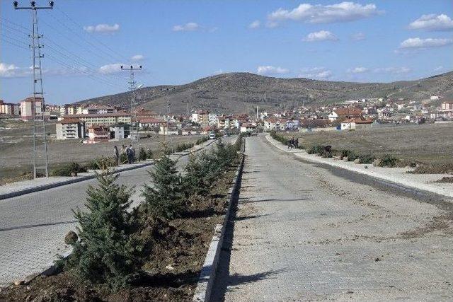 Akdağmadeni Belediyesi Yeşillendirme Çalışmalarını Aralıksız Sürdürüyor