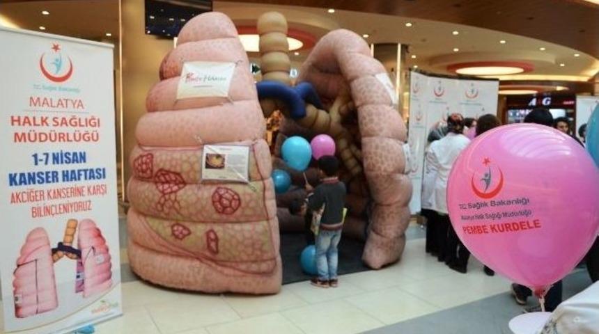 Kanser Haftası Etkinlikleri