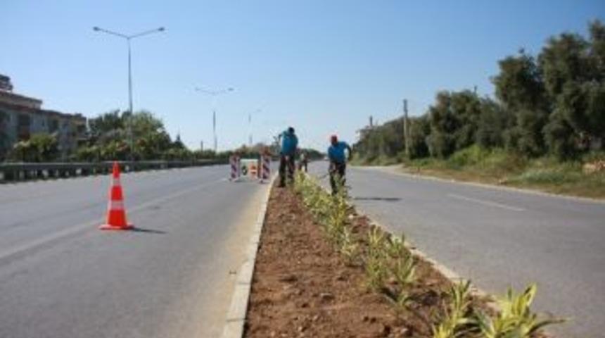 Alanya&rsquo;da Orta Ref&uuml;jlere Peyzaj &Ccedil;alışması