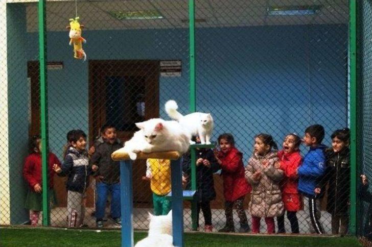 Van’ı Tanıyorum Projesi G1