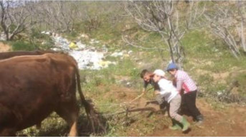 Efeler Diyarı Aydın&rsquo;nın &Ccedil;ocuklarının Zor Oyunu