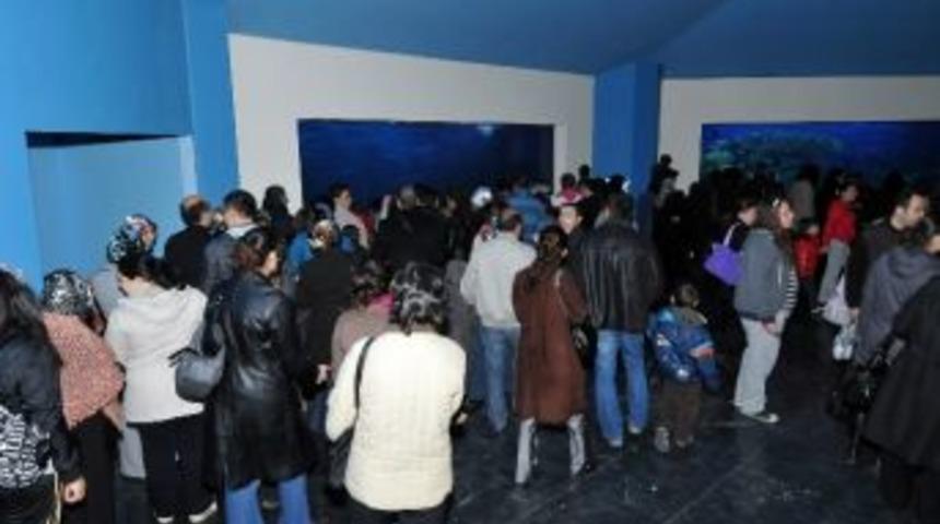 T&uuml;rkiye&rsquo;nin Eğitim Verilen Tek Akvaryumu