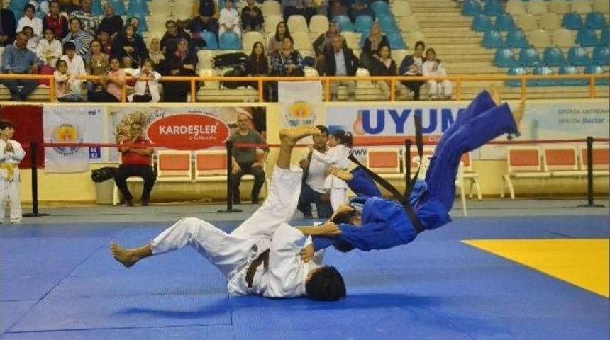 Adana Ve T&uuml;rk Cumhuriyetleri Judo M&uuml;sabakaları