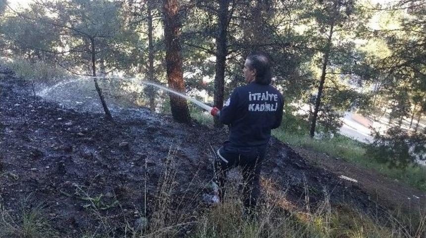 Zevk İ&ccedil;in Ormanı K&uuml;l Ediyordu