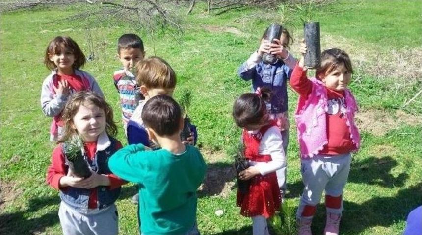 Minik Eller Fidan Dikti