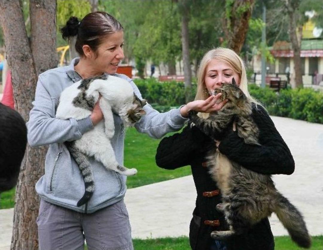 Bayraklı&rsquo;da, Can Dostların Sorunlarına Yakından Takip