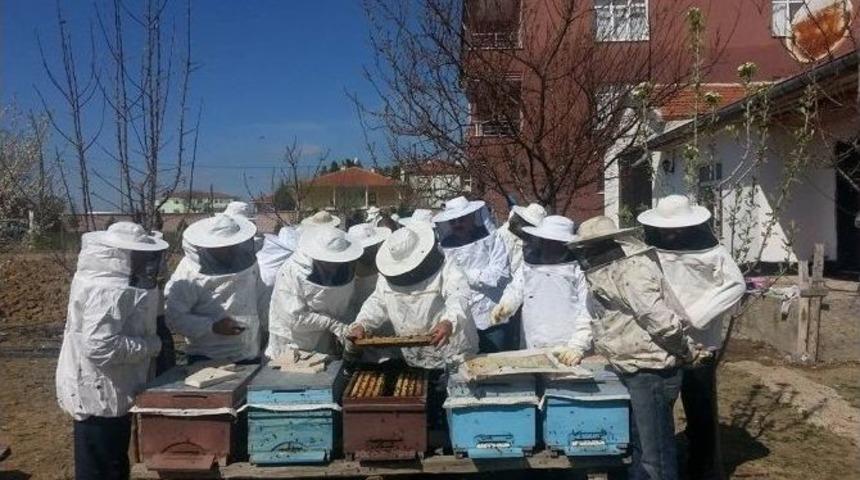 Kulu&rsquo;da Komek&rsquo;ten Uygulamalı Arıcılık Kursu