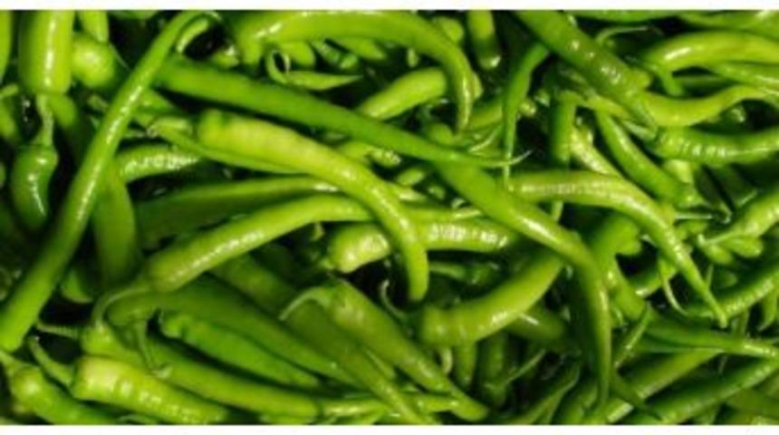 &Ccedil;anakkale&rsquo;nin Zam Şampiyonu Sivri Biber Oldu