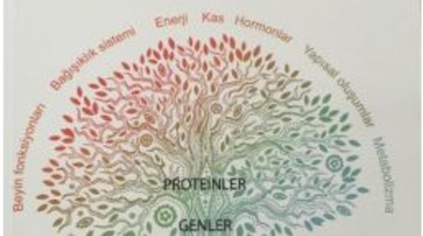 Sporcu Performansını Arttırmanın Bilimsel Yolu: Amino Asitler