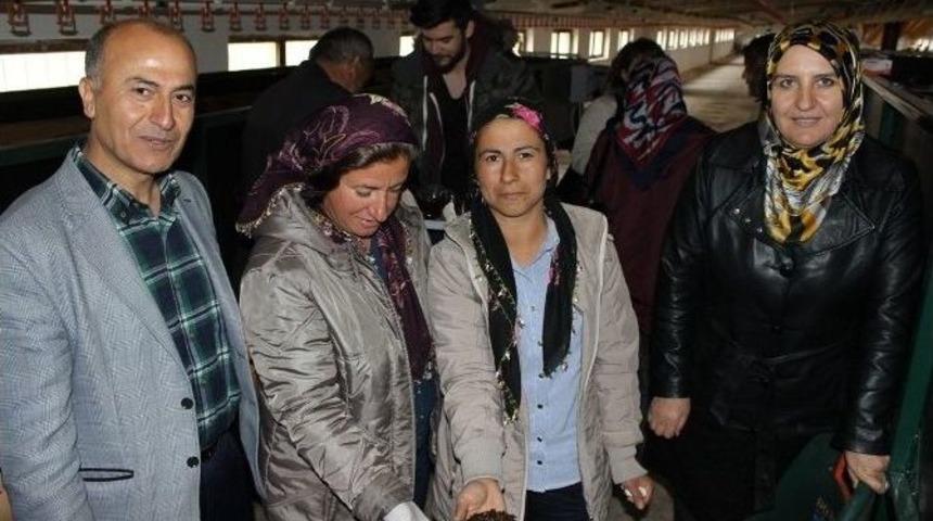 Tutlu Kadın &Ccedil;ift&ccedil;iler Solucan G&uuml;bresi &Uuml;retiyor