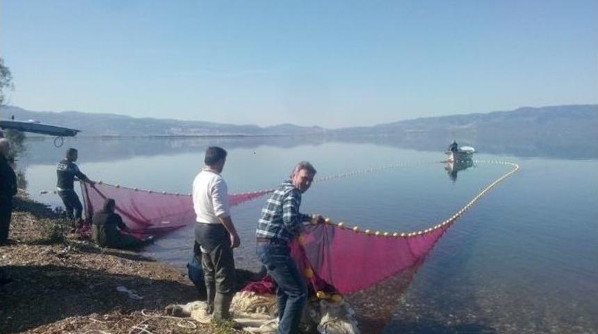 İznik G&ouml;l&uuml;&rsquo;nde G&uuml;m&uuml;ş Avı Başladı