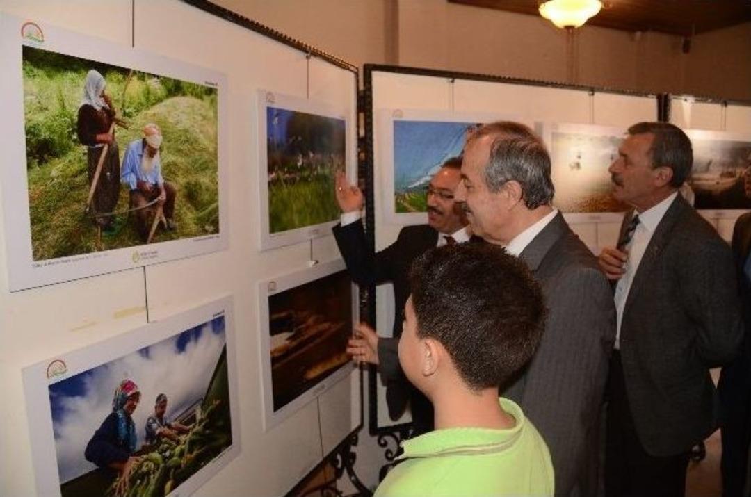 &ldquo;tarım Ve İnsan&ldquo; Konulu Sergi A&ccedil;ıldı
