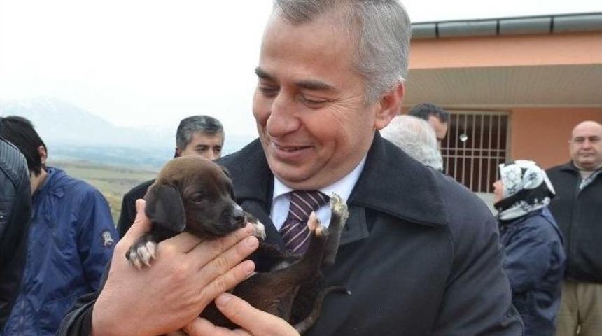 Denizli&rsquo;de 3 Ayda 300 Sokak Hayvanı Sahiplendirildi