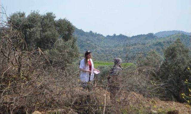 Tıp Öğrencileri Germenciklileri Kanser Konusunda Bilgilendirdi