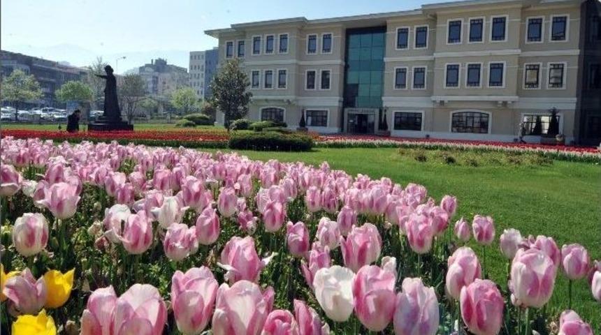 Osmangazi&rsquo;de Lale Devri