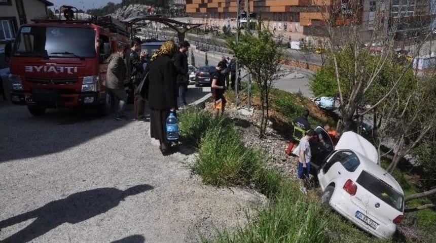 Ağa&ccedil;lar Hayatını Kurtardı