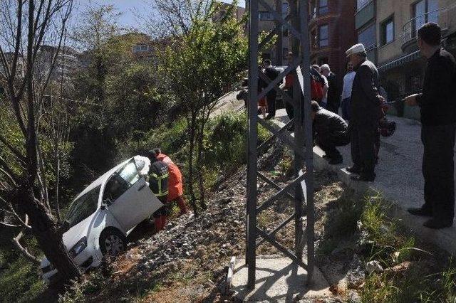 Ağaçlar Hayatını Kurtardı