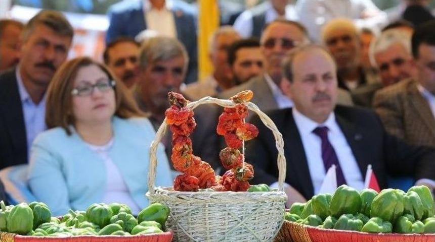 B&uuml;y&uuml;kşehir Belediye Başkanı Şahin, &ldquo;ben Size Buradan S&ouml;z Veriyorum, Sacır Deresi&rsquo;ni Yine Eskisi Gibi Bembeyaz Yapacağız&rdquo;