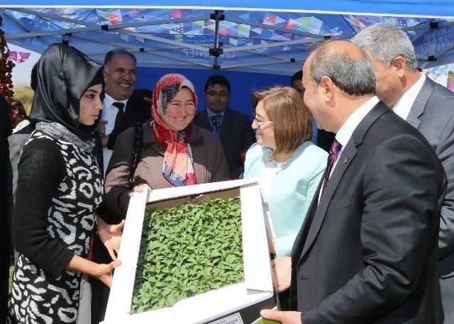 Büyükşehir Belediye Başkanı Şahin, “ben Size Buradan Söz Veriyorum, Sacır Deresi’ni Yine Eskisi Gibi Bembeyaz Yapacağız”