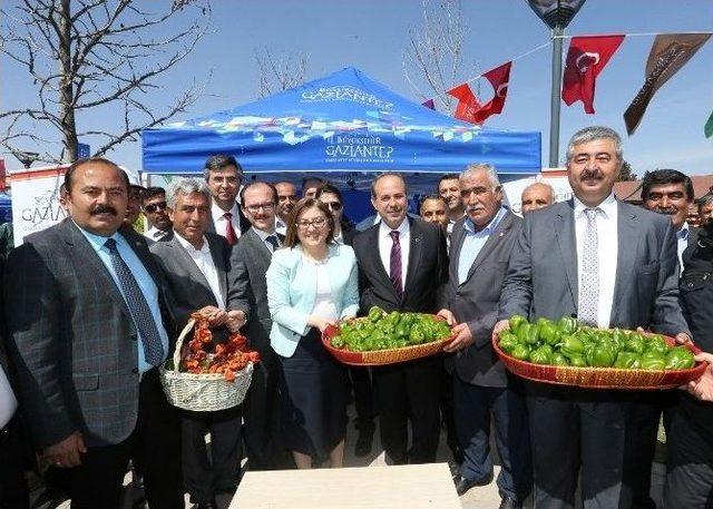 Büyükşehir Belediye Başkanı Şahin, “ben Size Buradan Söz Veriyorum, Sacır Deresi’ni Yine Eskisi Gibi Bembeyaz Yapacağız”