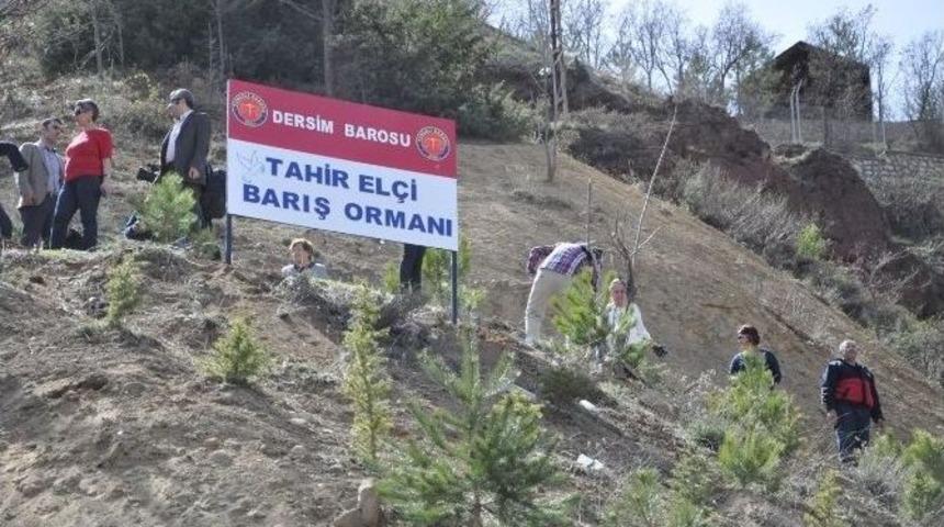 Tunceli&rsquo;de Tahir El&ccedil;i İ&ccedil;in Barış Ormanı