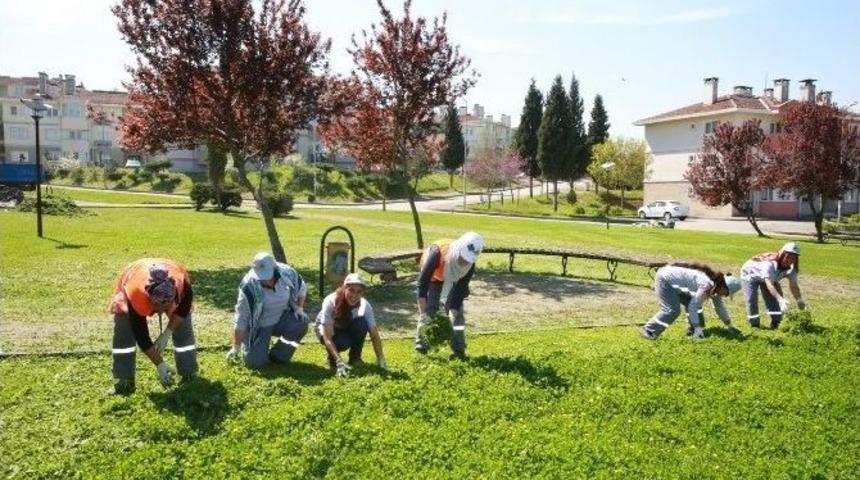 Adapazarı Belediyesi Yenikent B&ouml;lgesinde &Ccedil;im Bi&ccedil;me İşlemerine Başladı